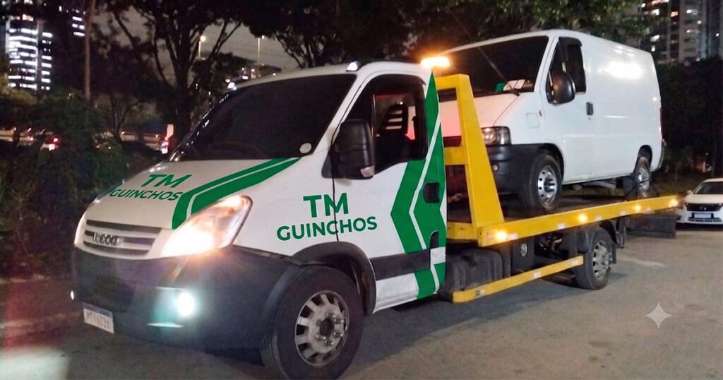 TM Guinchos Leves e Pesados 05